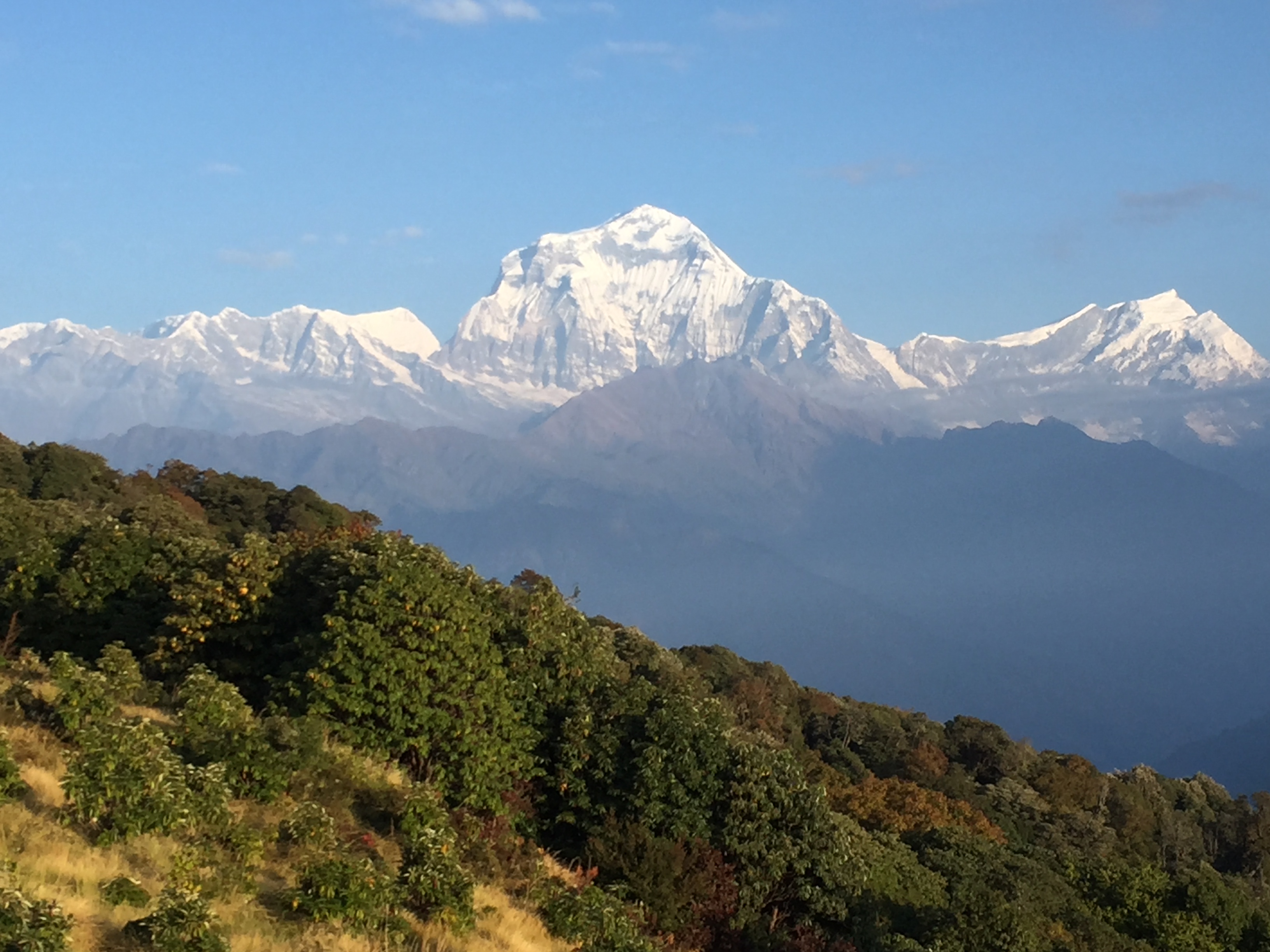 Ghorepani-Poon Hill